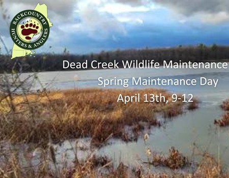 VT Recap: Maintenance Day at Dead Creek WMA April 2024