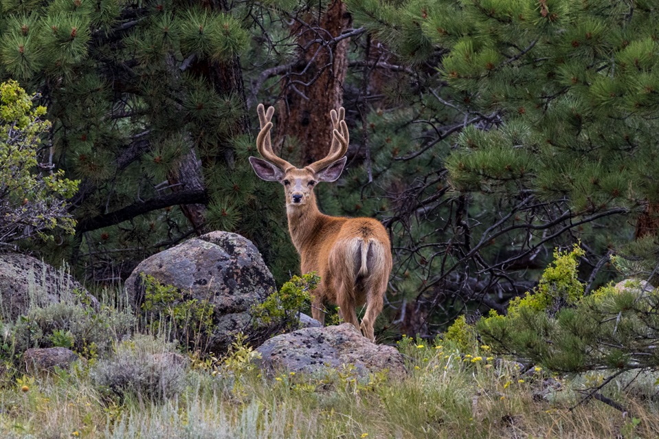 Public Lands to Benefit from Final BLM Oil and Gas Leasing Rule