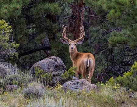 Public Lands to Benefit from Final BLM Oil and Gas Leasing Rule
