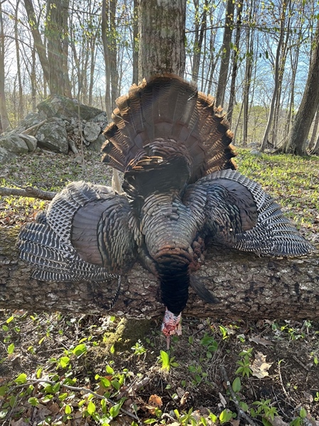 Kentucky Senate Bill 3 Defeated