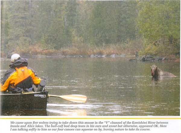 Hunting For Experience: Backcountry  Hunters & Anglers Oral History Project