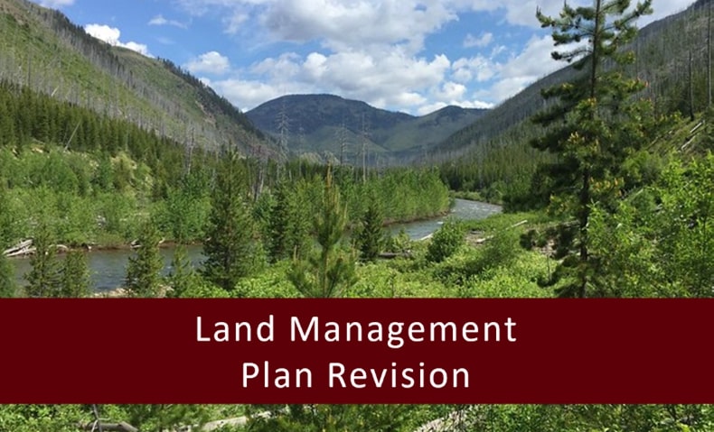 LETTER: Montana BHA Comments on Lolo National Forest Plan Revision
