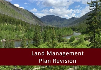 LETTER: Montana BHA Comments on Lolo National Forest Plan Revision