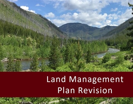 LETTER: Montana BHA Comments on Lolo National Forest Plan Revision