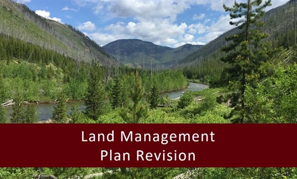 LETTER: Montana BHA Comments on Lolo National Forest Plan Revision