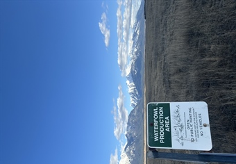 LETTER: Montana BHA comments on the Draft Supplemental Environmental Assessment at Northwest Montana Wetland Management District
