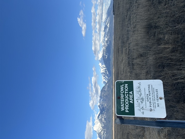 LETTER: Montana BHA comments on the Draft Supplemental Environmental Assessment at Northwest Montana Wetland Management District