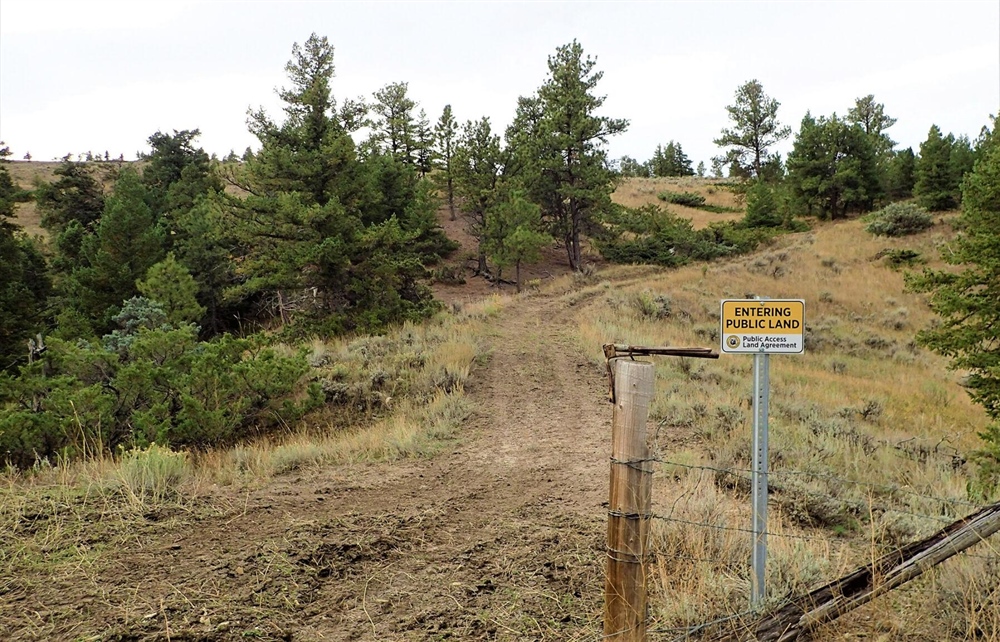 LETTER: Montana BHA supports Left Coulee Access Proposed Action