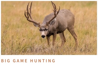 Auction vs. Raffle Tags: Should States Stop Selling Big-Game Tags to the Highest Bidder?
