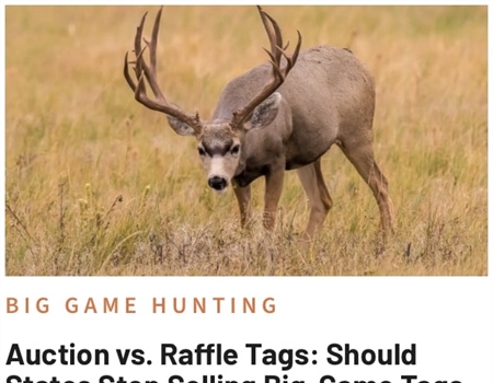 Auction vs. Raffle Tags: Should States Stop Selling Big-Game Tags to the Highest Bidder?