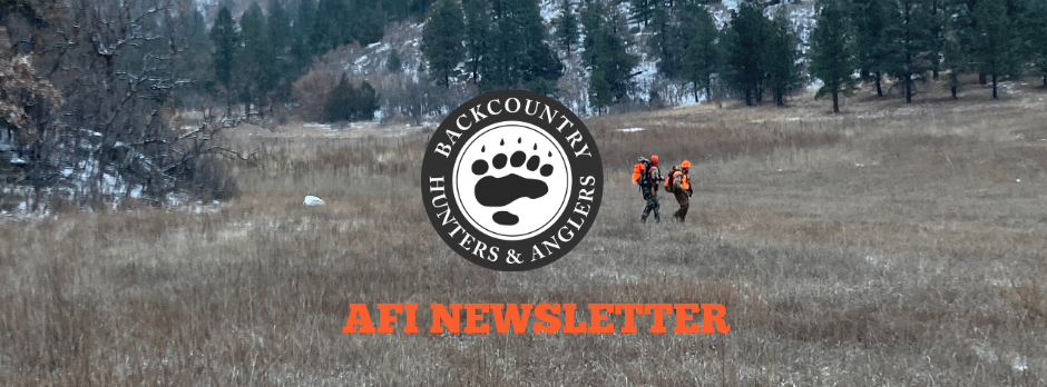 AFI Q:1 Newsletter