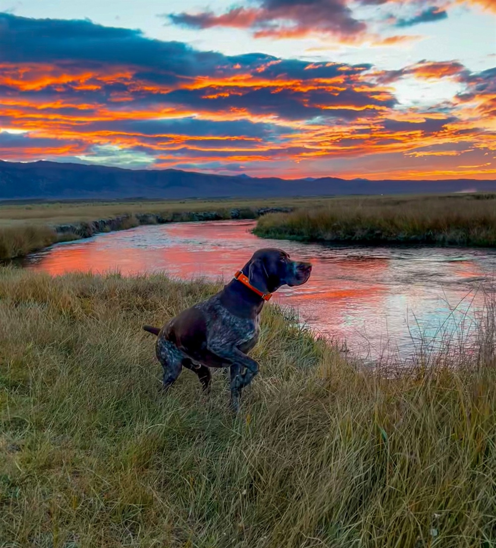 Administration Budget Proposal Would Increase Investments in Public Lands