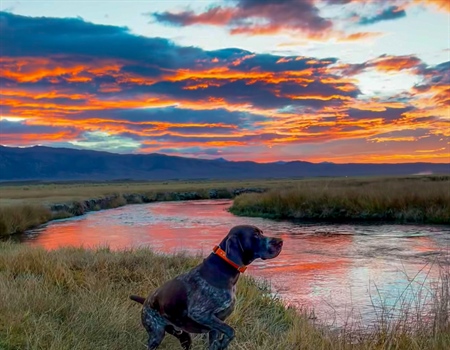 Administration Budget Proposal Would Increase Investments in Public Lands