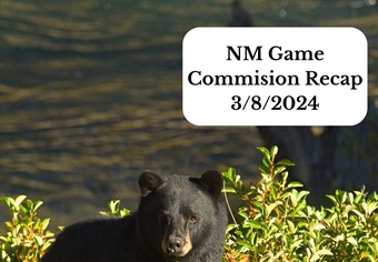 03/08/24 New Mexico Game Commission Recap
