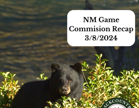 03/08/24 New Mexico Game Commission Recap