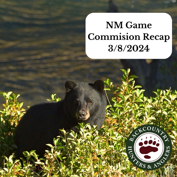 03/08/24 New Mexico Game Commission Recap