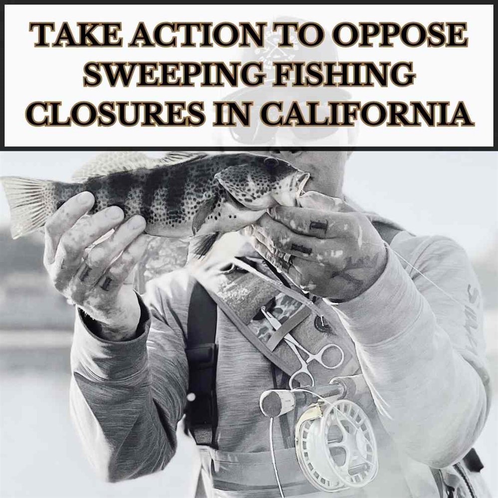 BHA Opposes Sweeping Fishing Closures in California