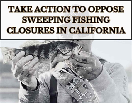 BHA Opposes Sweeping Fishing Closures in California
