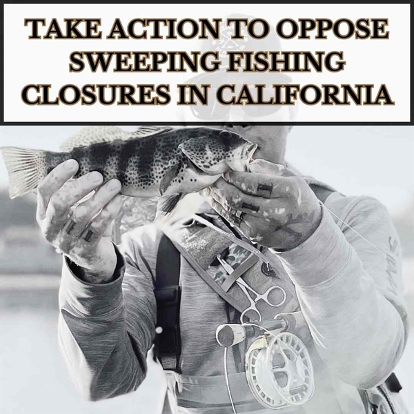 BHA Opposes Sweeping Fishing Closures in California