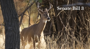 KY BHA: Defeat Senate Bill 3