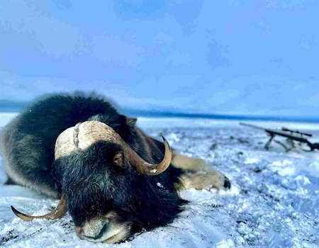 Draw Hunt Donations and Wildlife Conservation: And, Sometimes You Get Lucky