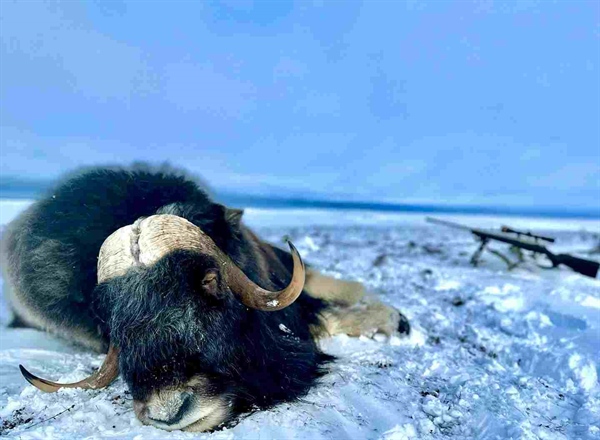 Draw Hunt Donations and Wildlife Conservation: And, Sometimes You Get Lucky