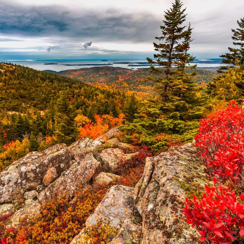 Maine is Looking for Members to be on the State Leadership Team
