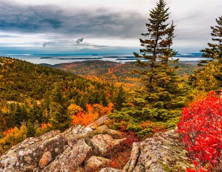 Maine is Looking for Members to be on the State Leadership Team