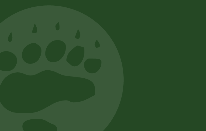 Stalking Wildness: BHA’s Wilderness Warriors