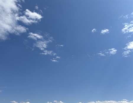LETTER: Montana BHA comments on Spotted Dog WMA Grazing and Water Development Plan Draft EA