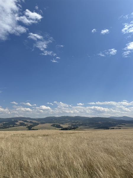 LETTER: Montana BHA comments on Spotted Dog WMA Grazing and Water Development Plan Draft EA