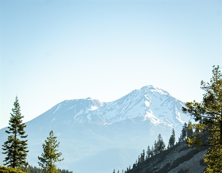 Senate Legislation Introduced to Reauthorize Popular Conservation Programs