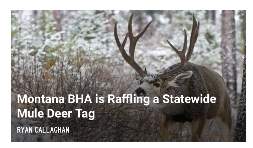 MONTANA BHA IS RAFFLING A STATEWIDE MULE DEER TAG