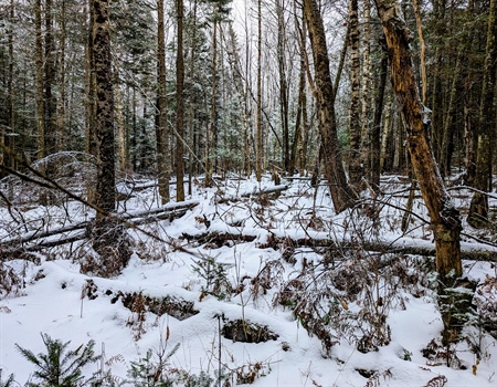 New England Winter Update
