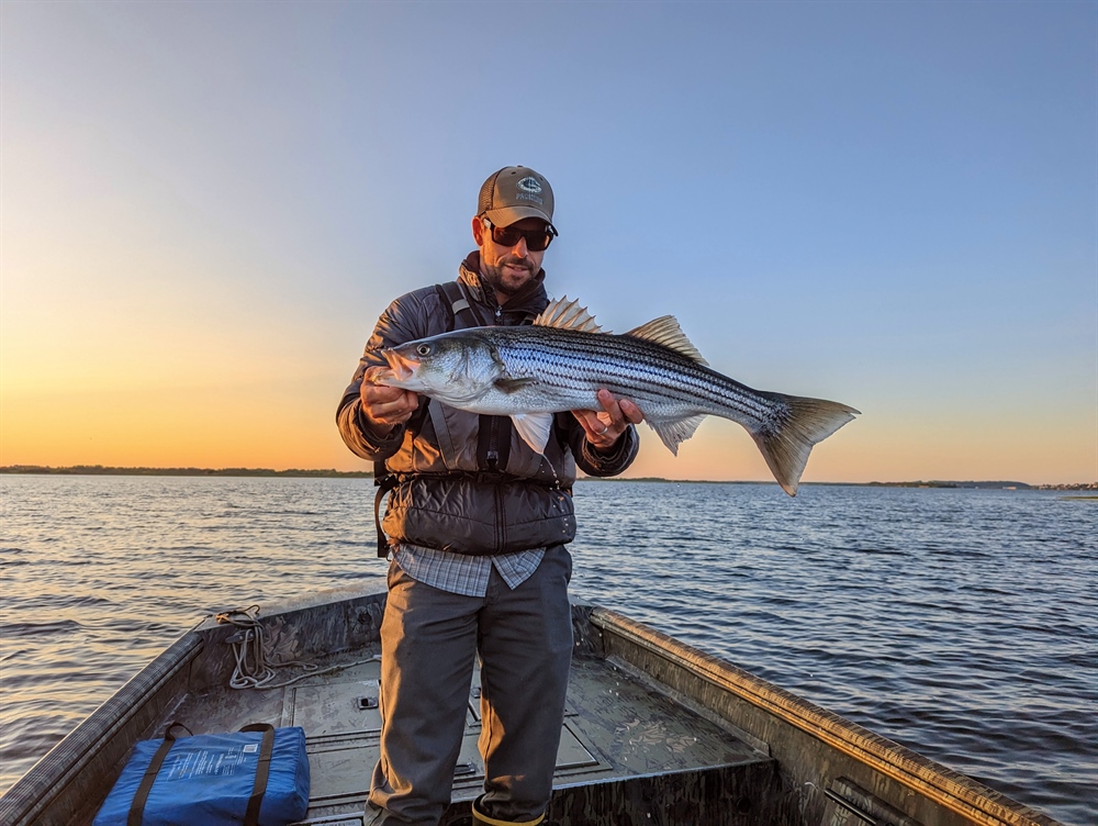 Striped Bass Addendum II to Amendment 7: ASMFC Winter Meeting Recap