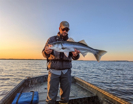 Striped Bass Addendum II to Amendment 7: ASMFC Winter Meeting Recap