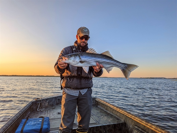 Striped Bass Addendum II to Amendment 7: ASMFC Winter Meeting Recap