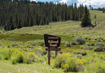 BHA Illegal OHV Use Reward: How Two Brothers Helped Protect Colorado's Public Lands