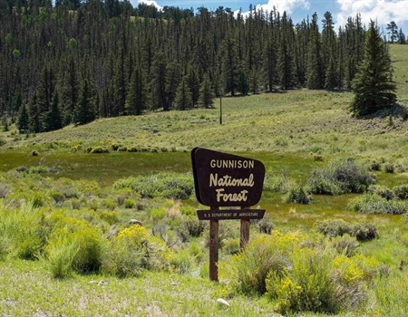 BHA Illegal OHV Use Reward: How Two Brothers Helped Protect Colorado's Public Lands