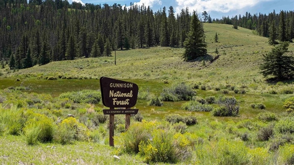 BHA Illegal OHV Use Reward: How Two Brothers Helped Protect Colorado's Public Lands