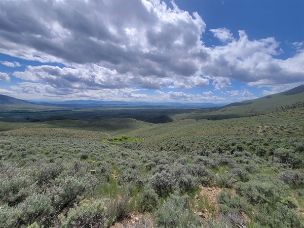 LETTER: Montana BHA Supports the Lost Creek Proposed Land Acquisition