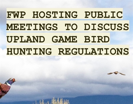FWP Hosting Meetings to Discuss Upland Game Bird Regs