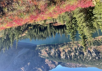 TAKE ACTION: Protect our wild backcountry in the Great Burn