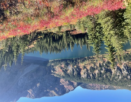 TAKE ACTION: Protect our wild backcountry in the Great Burn