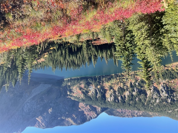 TAKE ACTION: Protect our wild backcountry in the Great Burn