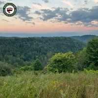 Kentucky Public Land- 54,000 Acres Permanent Conservation Easement
