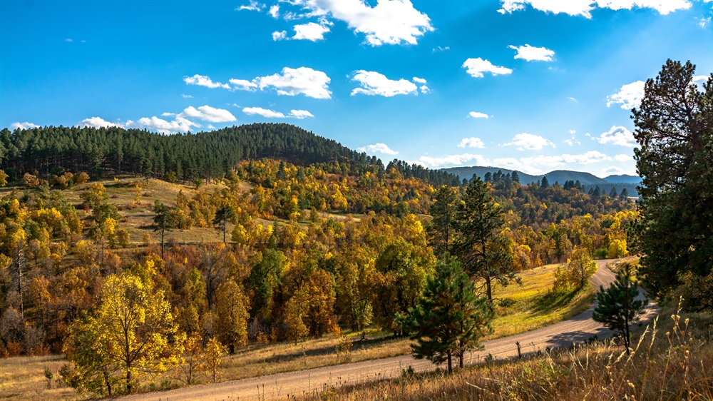 LETTER: South Dakota BHA Opposes Golden Crest Exploration Drilling Project