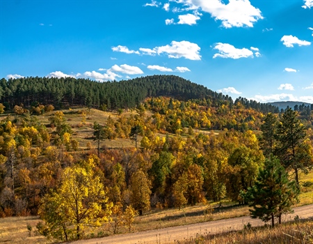 LETTER: South Dakota BHA Opposes Golden Crest Exploration Drilling Project