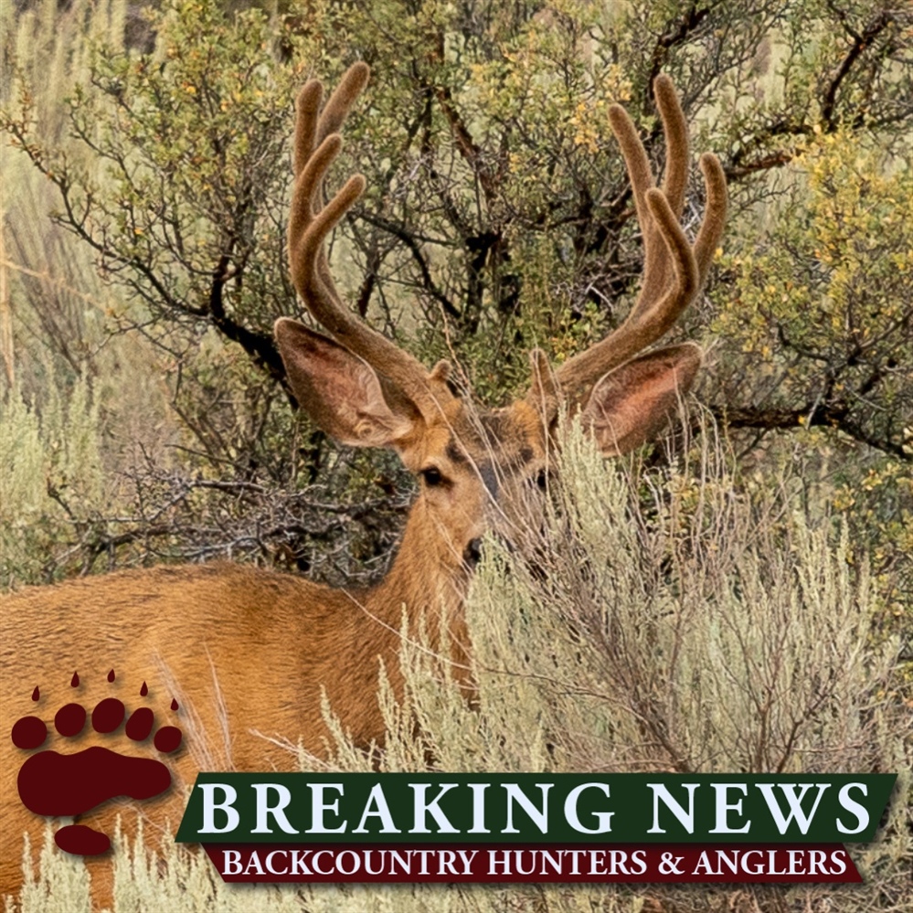 Senate Committee Advances Legislation to Conserve Public Lands