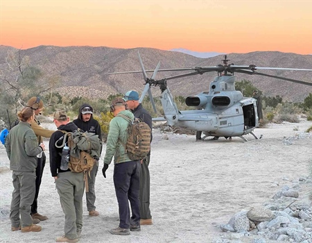 Peninsular Bighorn Sheep Get Another Boost from U.S. Marine Corps Helicopter Squadron